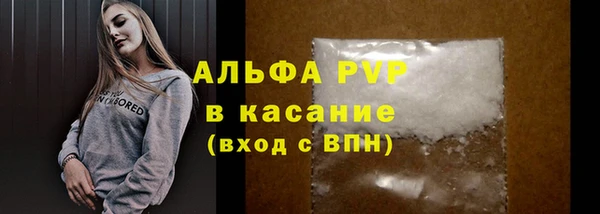 СК Козловка