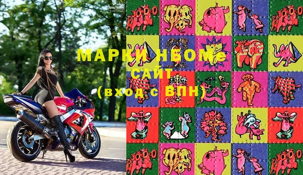 прущие грибы Козельск