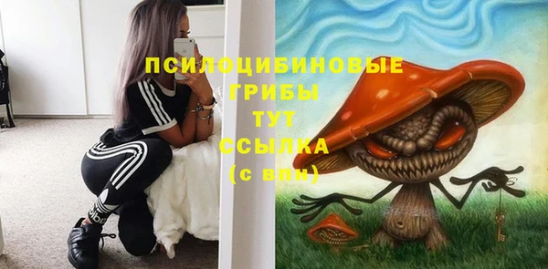 прущие грибы Козельск