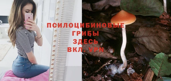 СК Козловка