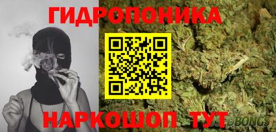 сатива Заводоуковск