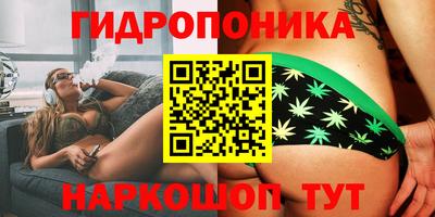 гидра Жуковский